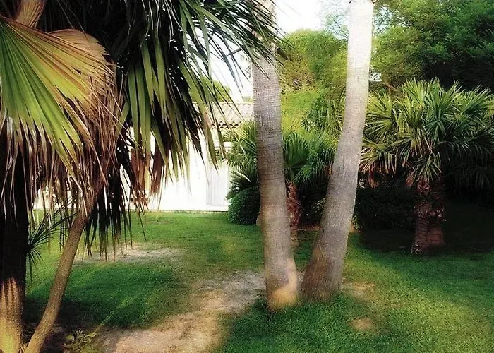 Bed & Breakfast Aloha *