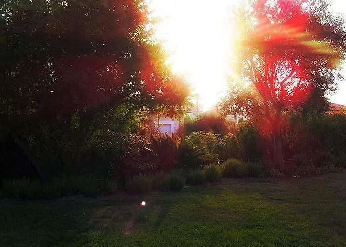 Bed & Breakfast Aloha Antibes