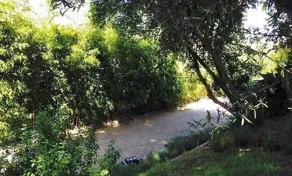 Aloha Bed & Breakfast